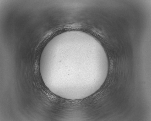 X0000060271254200510281026