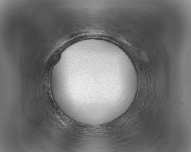 X0000060271255200510281026
