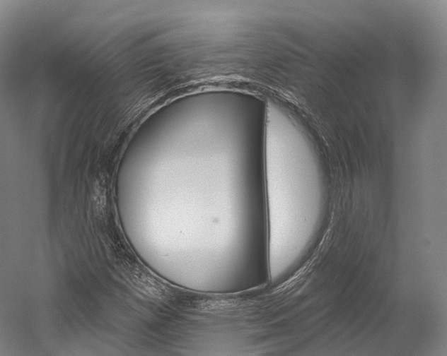 X0000060271257200510281026