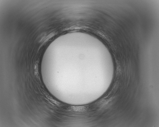 X0000060271258200510281026