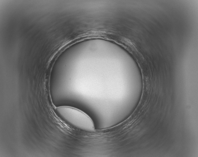 X0000060271260200510281026
