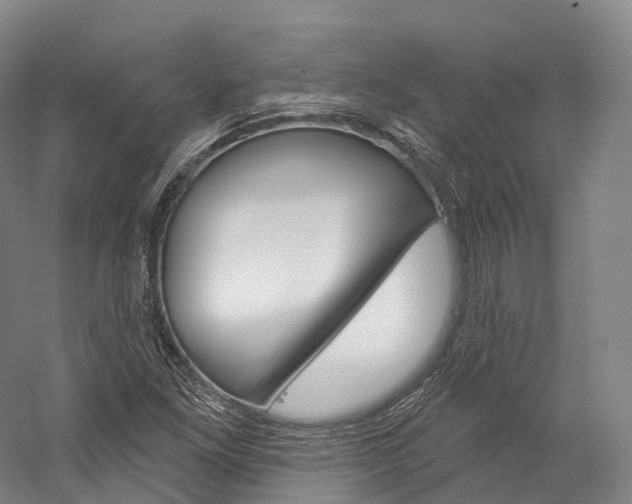X0000060271261200510281026