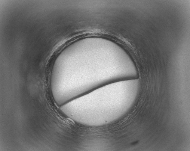 X0000060271263200510281026