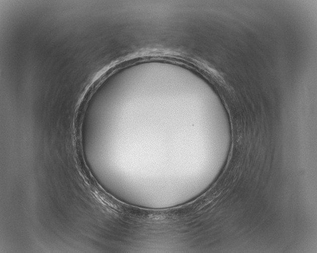 X0000060271264200510281026