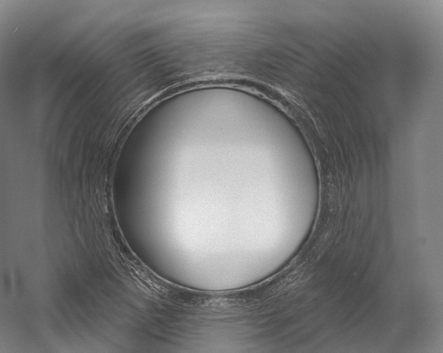 X0000060271265200510281026