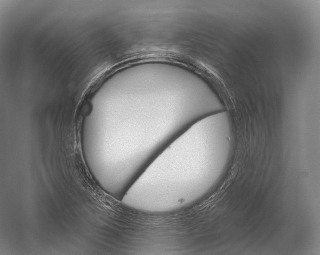 X0000060271267200510281026