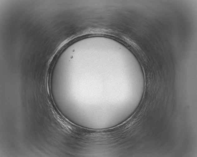 X0000060271272200510281026