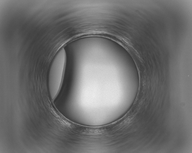 X0000060271273200510281026