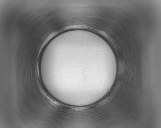 X0000060271274200510281025