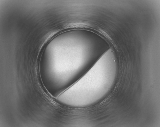 X0000060271277200510281025