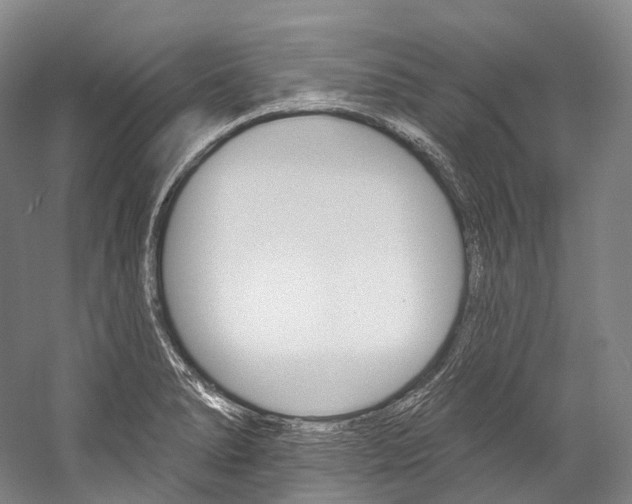 X0000060271278200510281025