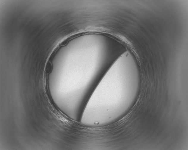 X0000060271280200510281025