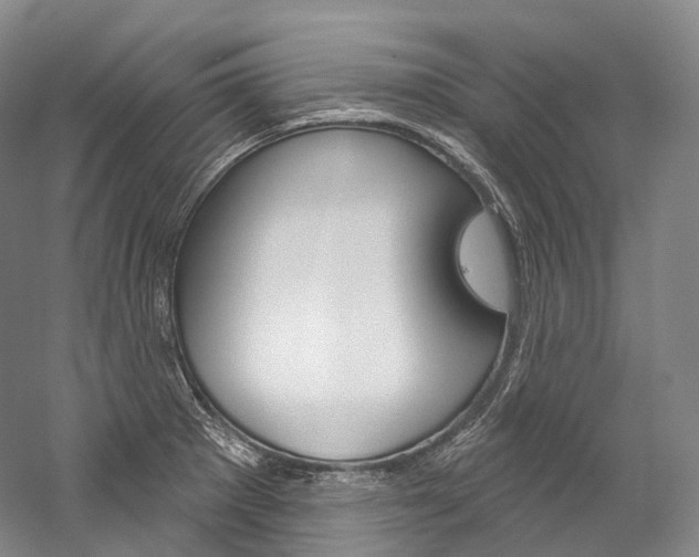 X0000060271281200510281025
