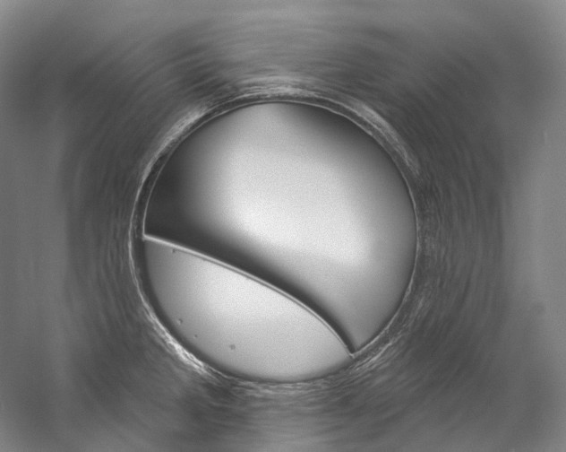 X0000060271285200510281025