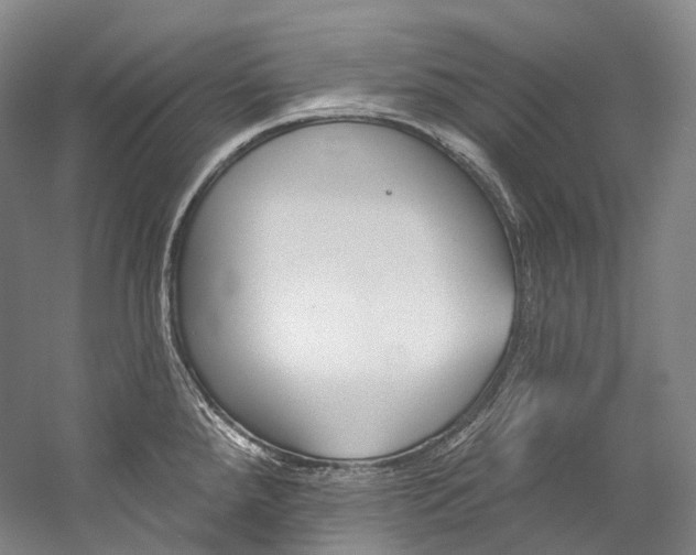 X0000060271288200510281025