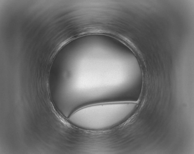 X0000060271289200510281025