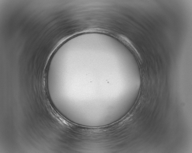 X0000060271292200510281025