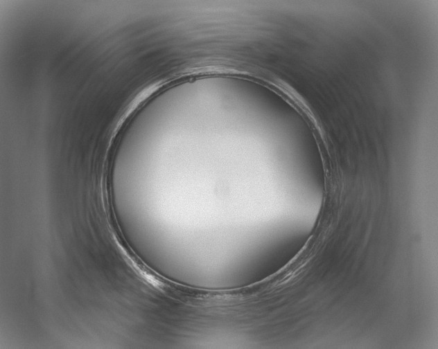 X0000060271293200510281025