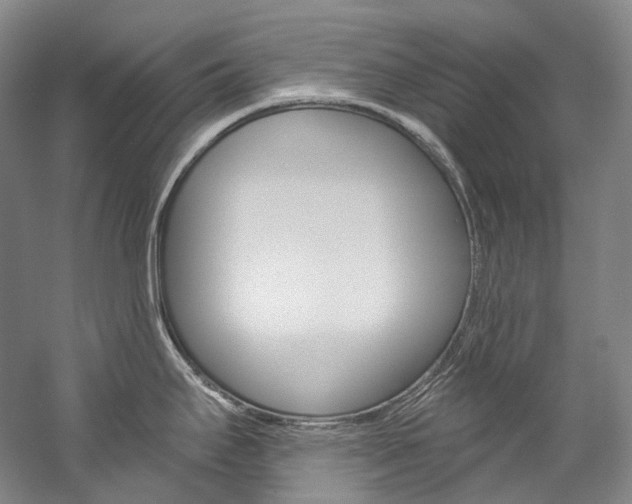 X0000060271295200510281025