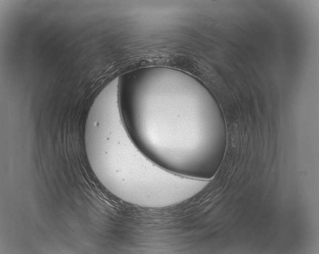 X0000060271298200510281024