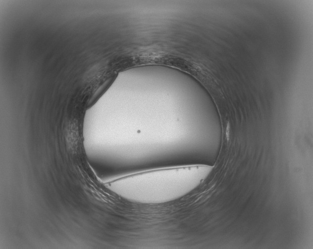 X0000060271299200510281024