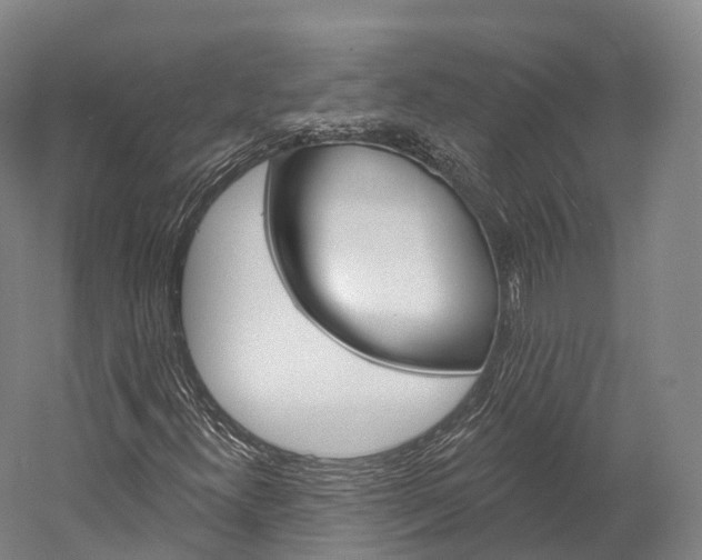 X0000060271300200510281024