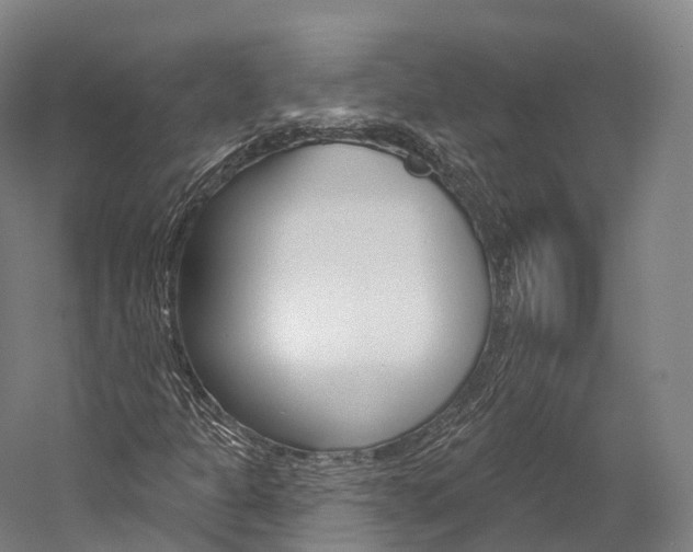 X0000060271301200510281024