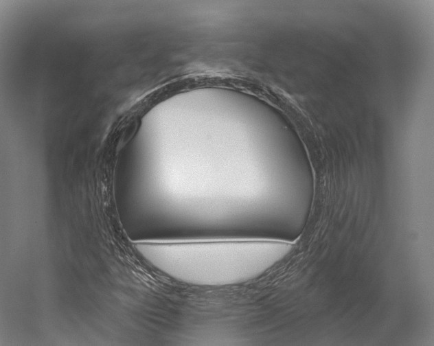 X0000060271303200510281024