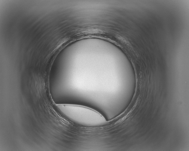 X0000060271305200510281024