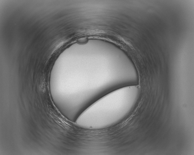 X0000060271306200510281024
