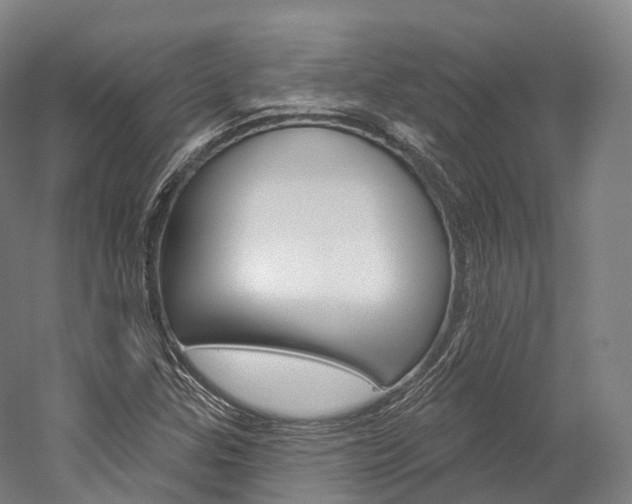 X0000060271307200510281024