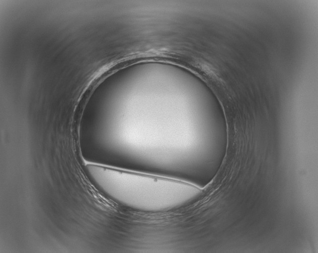 X0000060271308200510281025