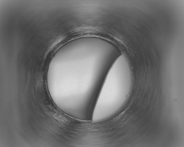 X0000060271309200510281025