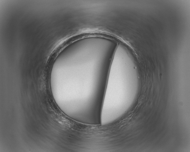 X0000060271311200510281025