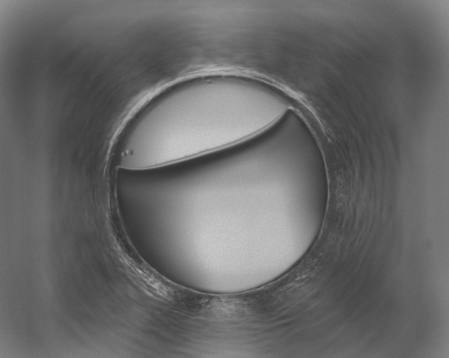 X0000060271319200510281025