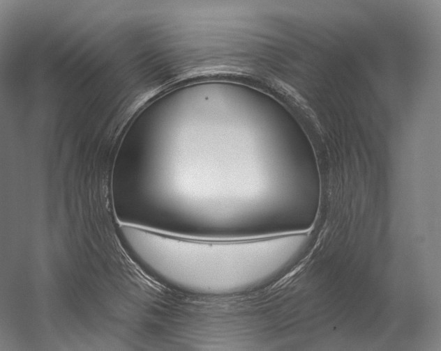 X0000060271321200510281025