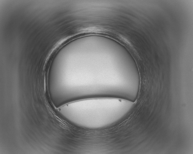 X0000060271323200510281025