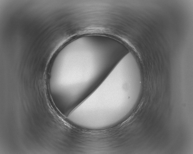 X0000060271325200510281025