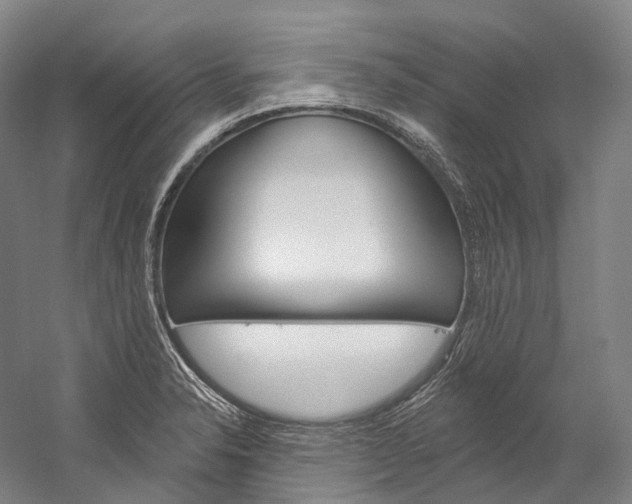 X0000060271326200510281025