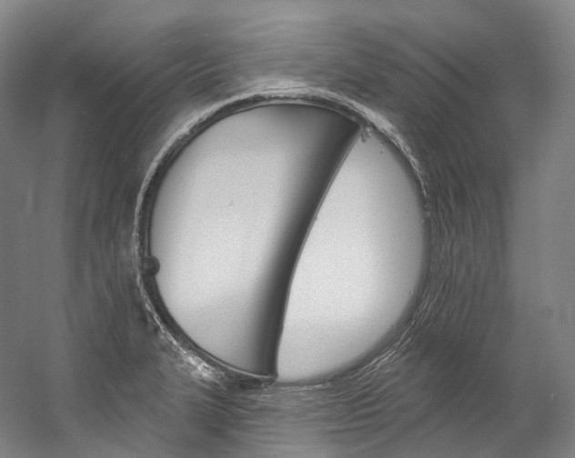 X0000060271327200510281025