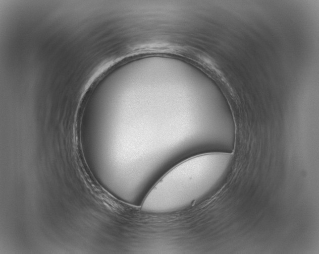 X0000060271328200510281025