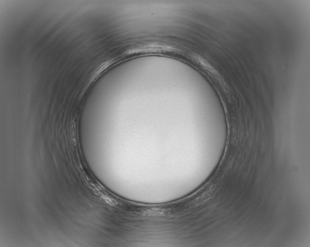 X0000060271329200510281025