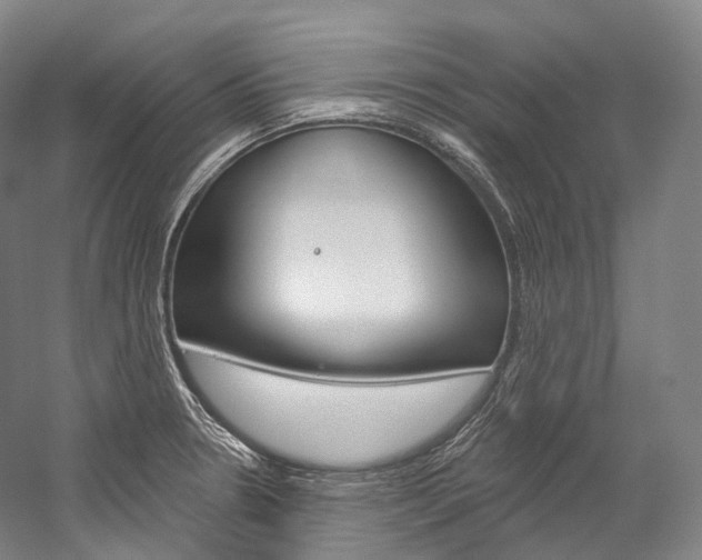 X0000060271330200510281025