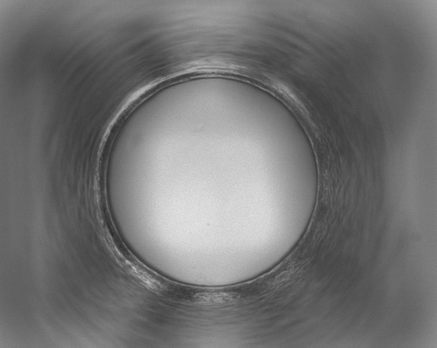 X0000060271331200510281025