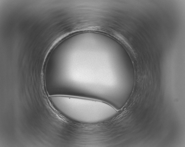 X0000060271332200510281025