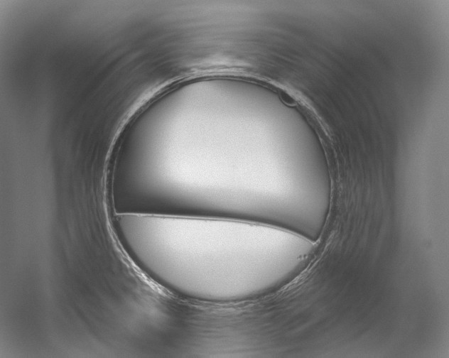 X0000060271333200510281025