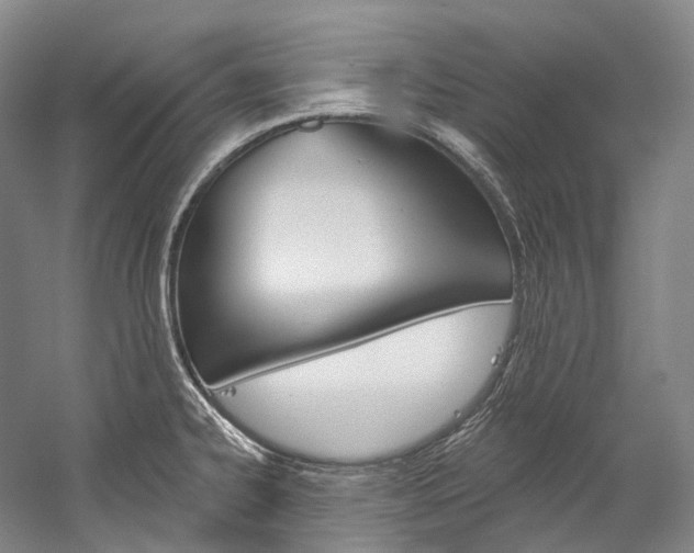 X0000060271334200510281025