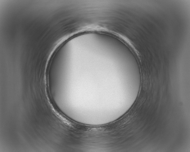 X0000060271335200510281025