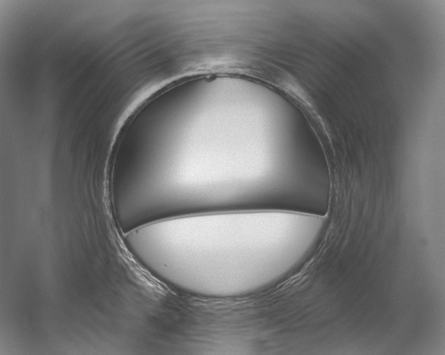 X0000060271336200510281025