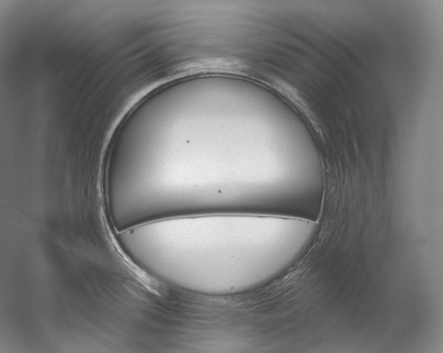 X0000060271339200510281025